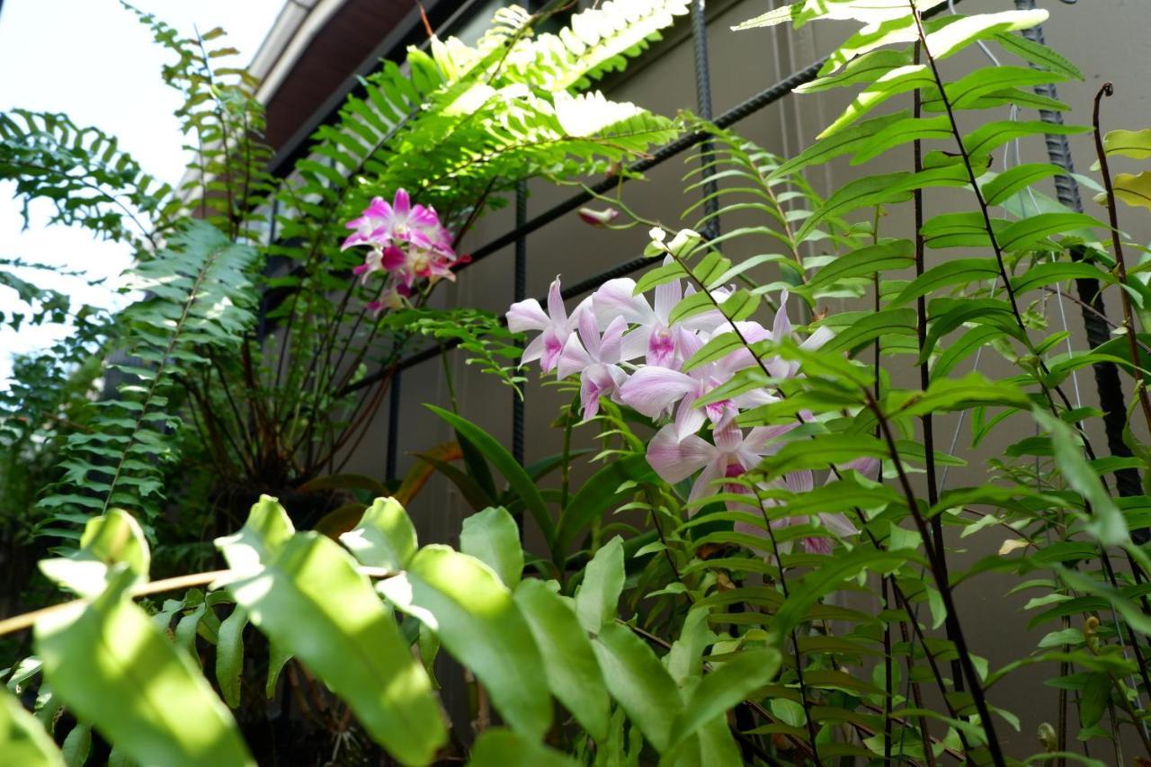 Bed Place Nhà trọ Bangkok